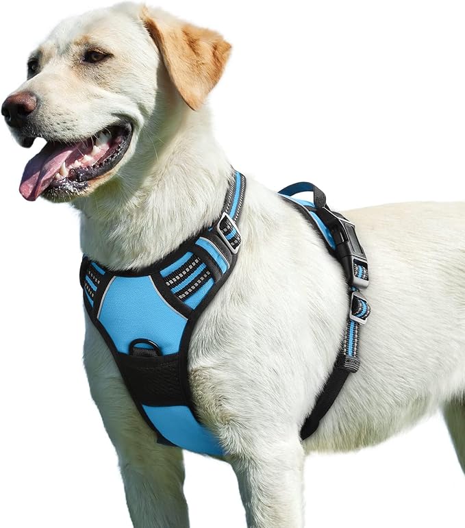 Eagloo Dog Harness for Large Dogs, No Pull Service Vest with Reflective Strips and Control Handle, Adjustable and Comfortable for Easy Walking, No Choke Pet Harness with 2 Metal Rings, Sky Blue, L-PurrikoPets
