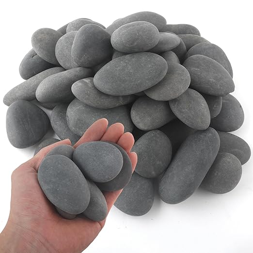 5 lbs Natural Mexican Beach Pebbles, 1-2 Inch Large River Rocks for Plants and Landscaping, Decorative Stone for Fish Tank Aquarium Fountain Garden Paving Walkways Pathways Backyard, Grey-PurrikoPets