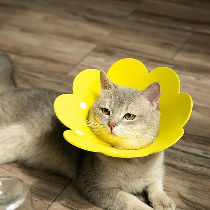 3-Pack Cat Recovery Collar - Sunflower Neck Cone, Anti-Licking, Prevents Biting & Scratching (Pink, Orange, Yellow) (M)-PurrikoPets