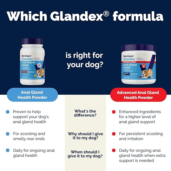 Glandex Dog Fiber Supplement Powder for Anal Glands with Pumpkin, Digestive Enzymes & Probiotics - (Regular or Advanced Strength) - Boot The Scoot (4.25 oz, Advanced Strength Duck & Bacon)-PurrikoPets