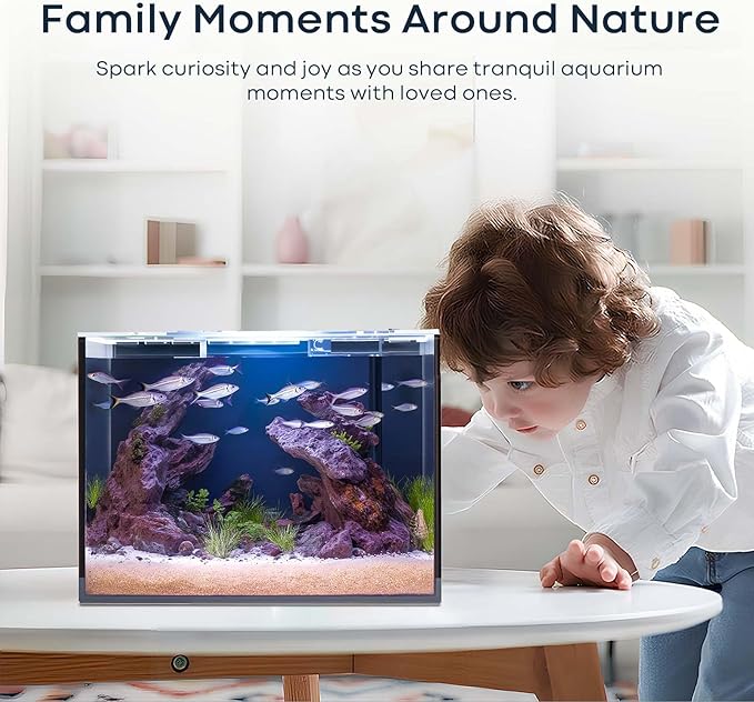3 Gallon Glass Fish Tank Cube, Small Aquarium Fish Bowl for Betta Goldfish Snails Shrimp Aquatic Planting, Easy to Maintain Ultra Clear Rimless Design for Desktop Small Spaces-PurrikoPets