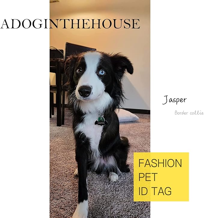 316 Surgical Grade Stainless Steel Personalized Dog & Cat ID Tags - Made with Three Thousand Love for Our Fur-Baby - Original Funny Shapes Bat, Engraved Name or Text for Pet Collar Accessories-PurrikoPets