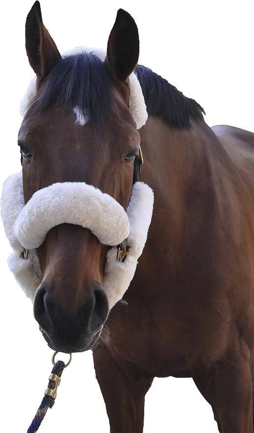 ECP Equine Comfort Products Merino Sheepskin Halter Fleece Set for Horses, 100% Natural Wool, Chafe Protection, Breathable Relief & Cushioned Comfort, Machine Washable, 9-Piece Set, White-PurrikoPets