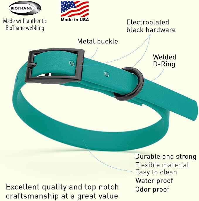 Dogline Biothane Waterproof Dog Collar Strong Coated Nylon Webbing with Black Hardware Odor- Proof for Easy Care Easy to Clean High Performance Fits Small Medium or Large Dogs, Blue Aqua-PurrikoPets
