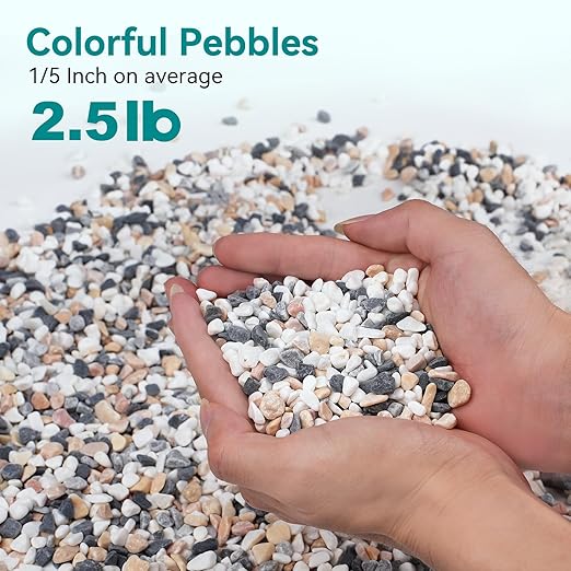 2.5 lbs Small Rocks for Succulents, 1/5 Inch Pebbles for Indoor Plants, Decorative Pea Gravel for Terrarium, Vases, Aquariums, Fish Tank, Drainage Rocks for Potted Plants, Bamboo,Crafts, Cactus-PurrikoPets