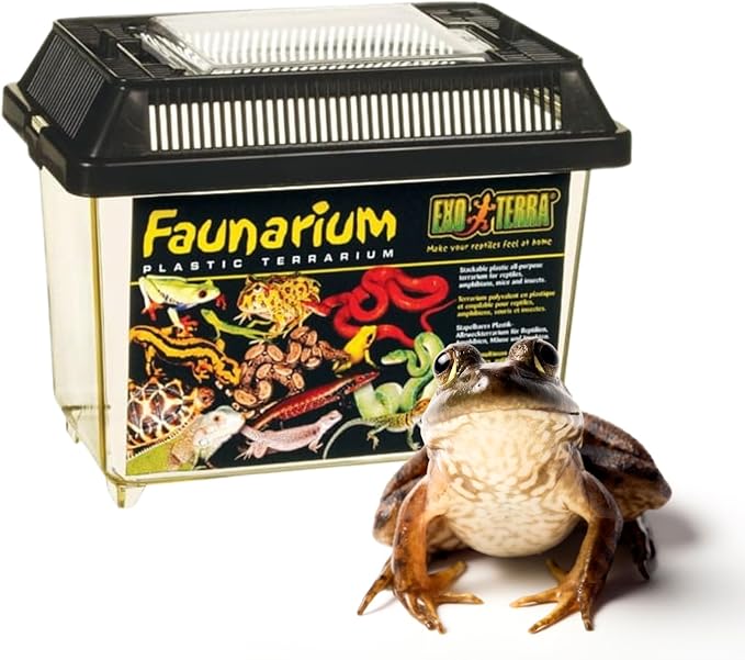 Exo Terra Faunarium, Plastic Reptile Terrarium, Large, PT2265-PurrikoPets