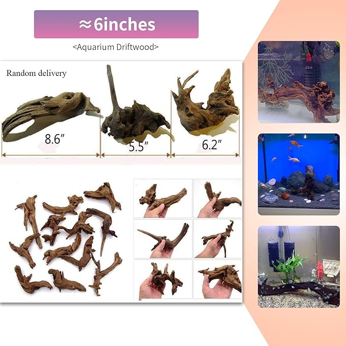 5 Pcs Driftwood Branches Aquarium Wood Decoration Natural Fish Tank Habitat Decor Wood for Lizard Assorted Size-Small-PurrikoPets