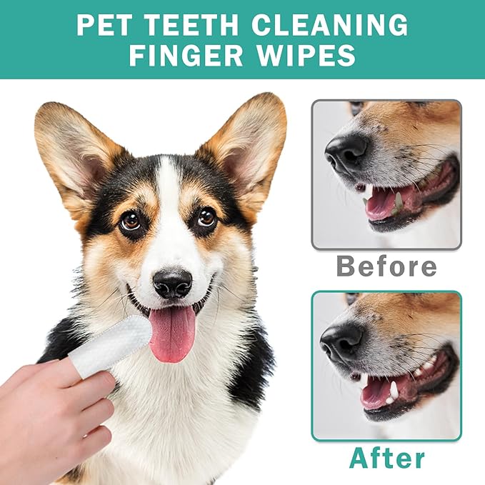 Dog Teeth Dental Finger Wipes for Dogs & Cats No-Rinse Dog Finger Toothbrush Dog Plaque & Tartar Prevention with Brushing Beads Dog Breath Freshene 50pcs-PurrikoPets