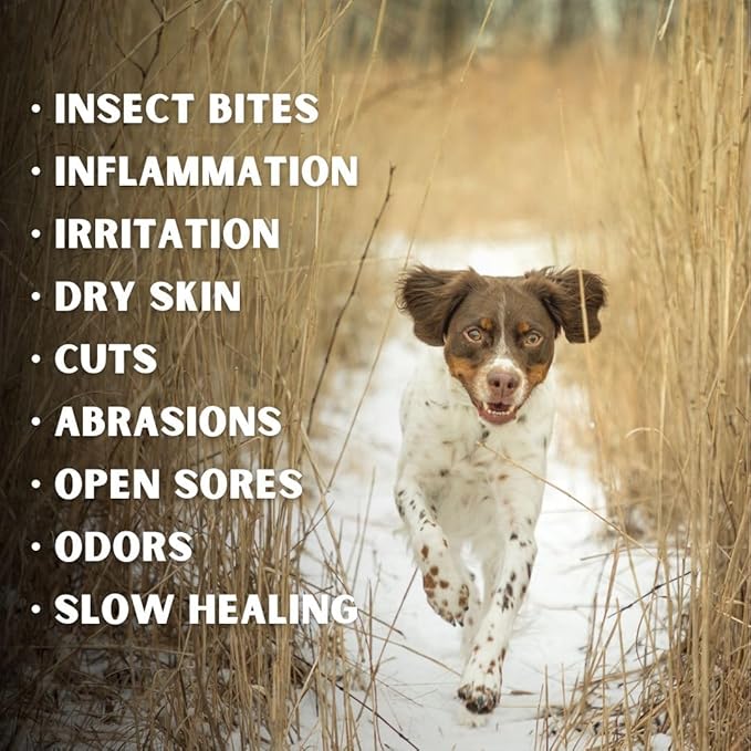Dr. Connie's Natural Solutions Wound Repair & Care for Sporting Dogs | Veterinarian Formulated Skin Care Solution | Promotes & Enhances Skin Healing-PurrikoPets