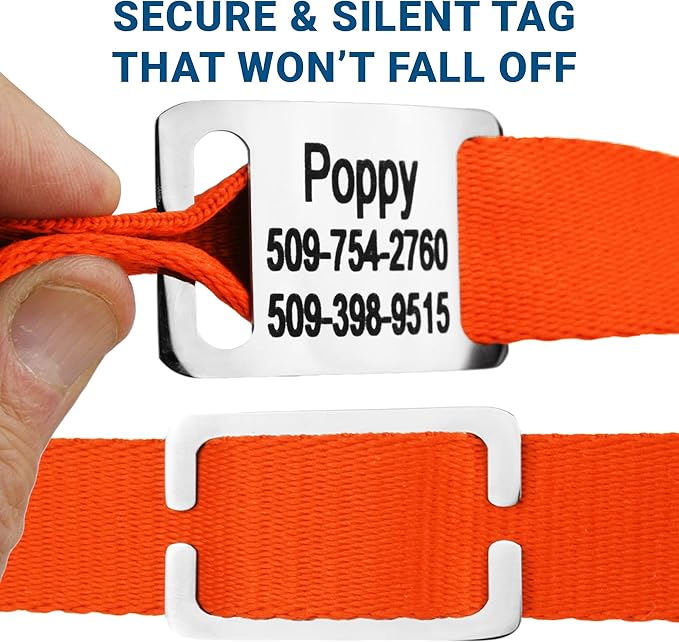 GoTags Personalized Dog Collar with Nameplate, Adjustable Dog Collar with Custom Engraved Slide On Pet ID Tag in Stainless Steel, Silent, No Noise Dog Tag for Large Medium and Small (Orange, Large)-PurrikoPets