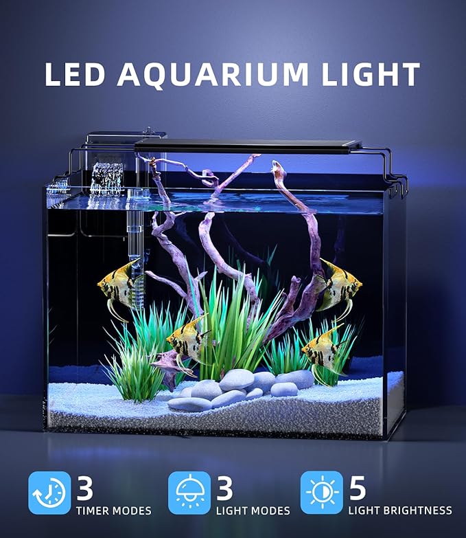 5 Gallon Fish Tank Aquarium Kit with Filter, LED Light with Timer, Siphon Vacuum Cleaner, Lid, Self-Cleaning Glass Rimless Betta Tank-PurrikoPets