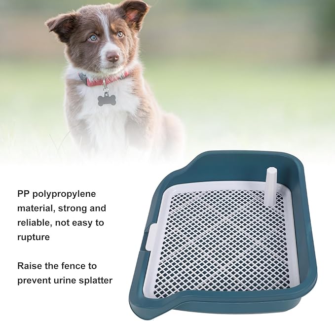 Fabater Dog Potty Toilet Training Tray, Portable Multifunctional Mesh Puppy Training Toilet Pad Holder with Bafflel for Small Dogs Puppies (Peacock Blue)-PurrikoPets