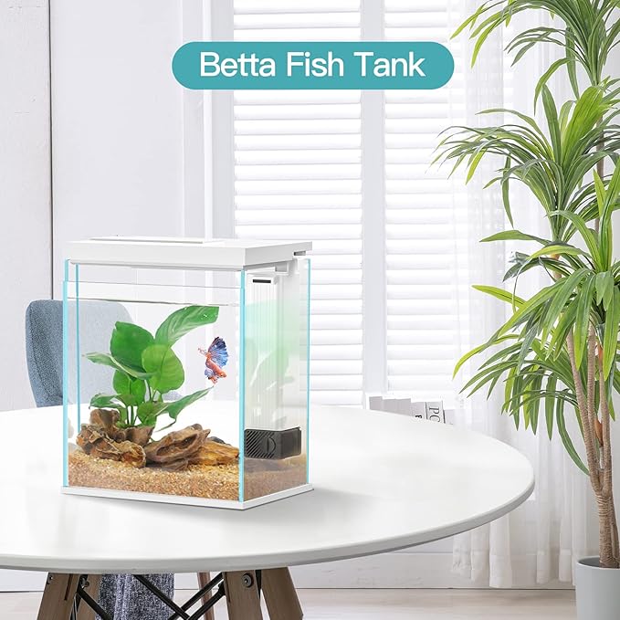 2 Gallon Glass Betta Fish Tank with Heater Filter and Light, Self-Cleaning Small Fish Tank Starter Kits.-PurrikoPets