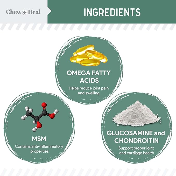 Glucosamine for Dogs Hip and Joint Supplement - 120 Senior Dogs Mobility Soft Chews - Made with Glucosamine, MSM, Chondroitin, Green Lipped Mussels and More - Made in The USA-PurrikoPets