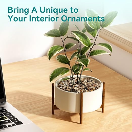 10 lbs Pebbles for Indoor Plants, Vase, Succulent, 3/8" Gravel for Plants, Pots Indoor, Bamboo Rocks for Bamboo Plants, Decorative Small River Rock, Highly Polished-PurrikoPets