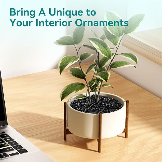 10 lbs Black Pebbles for Indoor Plants, 3/8" Small Rocks for Plants Indoor, Succulent, Bamboo, Vase, Decorative Black River Rocks Pea Gravel, Highly Polished-PurrikoPets