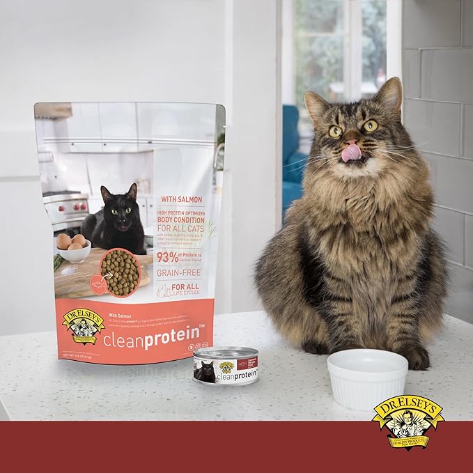 Dr. Elsey's cleanprotein Salmon Recipe Wet Cat Food, Pate 5.3 oz cans (Pack of 24)-PurrikoPets
