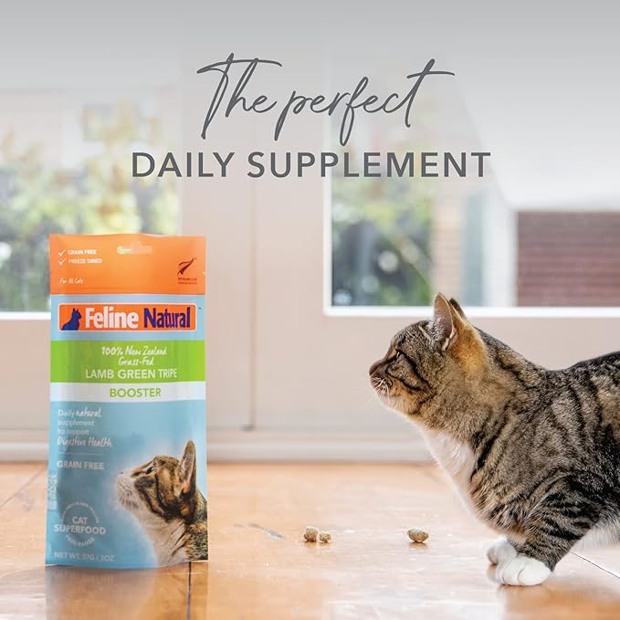 Feline Natural Freeze Dried Lamb Green Tripe Cat Food Supplement - Grain-Free High Protein Natural Topper - 2 Oz Grass Fed Beef Freeze Dried Cat Treats-PurrikoPets