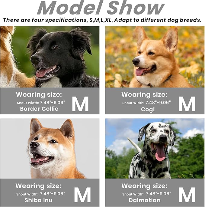 Dog Muzzle, Basket Muzzle for Small Medium Large Dogs, Anti-Biting and Chewing, Lightweight & Sturdy Cage Design, Allows Panting & Drinking, Ideal for Grooming & Training(Black Size M)-PurrikoPets