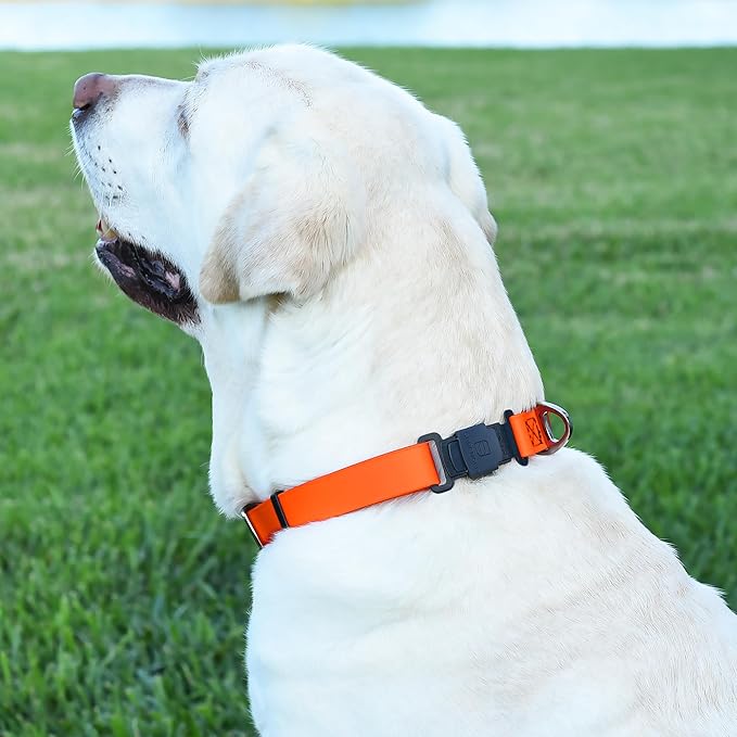 Dogline Biothane Waterproof Dog Collar with Herm Sprenger Stainless Steel Quick Release Buckle – Heavy Duty Tactical Durable Collar for Dogs – Comfortable and Safe Pet Collar, W 1" L 15-25", Orange-PurrikoPets