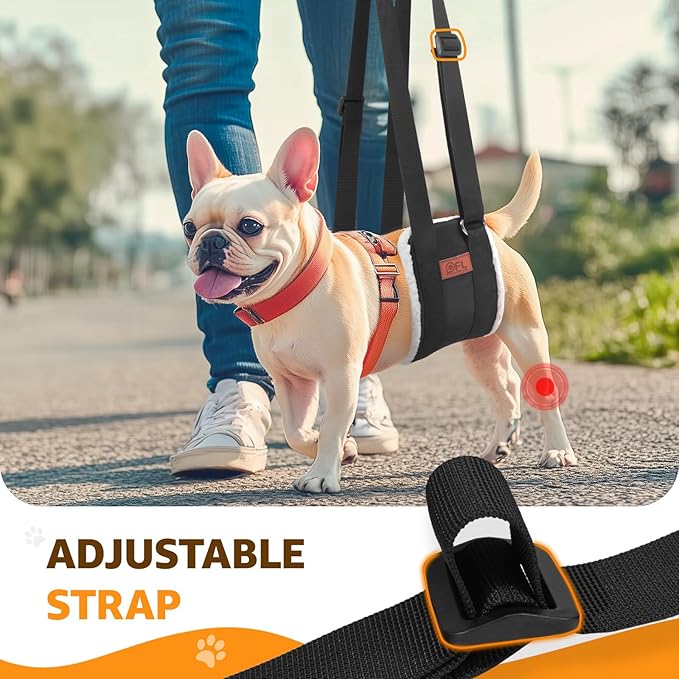 Adjustable Dog Lift Harness, Dog Sling for Large Dogs Lift Support and Rehab Harness for Weak Rear Legs, Soft Hind Leg Support Helps Senior, Injured, Disabled and After ACL Surgery Dogs(Black,Small)-PurrikoPets