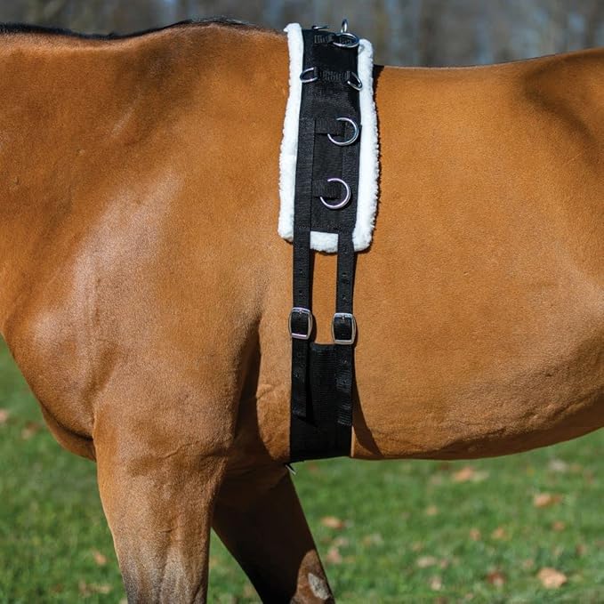 Dura-Tech Fleece Lined Training Surcingle for Horses | Essential for Lunging Work | Comfortable Fleece Lining | Durable Poly Material | Versatile D-Ring Placement | Suitable for All Training Levels-PurrikoPets