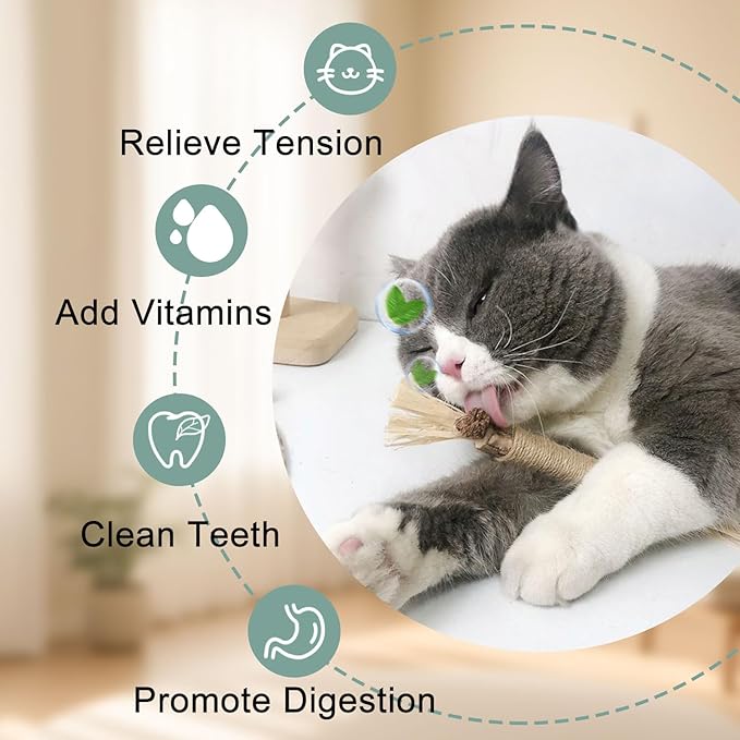 7-in-1 Interactive Cat Toys for Indoor Cats with Washable Adhesive Suction Cup, Hanging Cat Toys, Silvervine Stick and Sisal Chew Rope Catnip Teething Toy for Bored Kitten-PurrikoPets