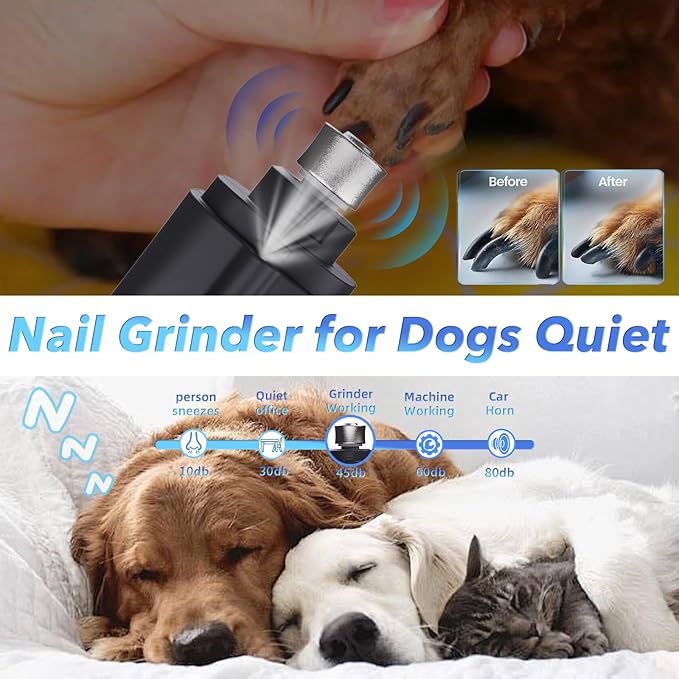 2 in 1 Dog Nail Clippers and Grinder with Lights & Cat Nail Clipper for Large Medium Small Dogs Cats Nail Trimmers USB Rechargeable with 2 LED Lights Dog Claw Care for Non-Black Nails-PurrikoPets