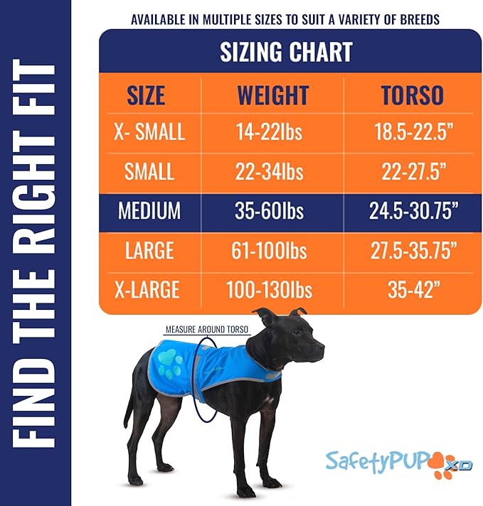 Dog Reflective Vest – Hi-Vis Fluorescent Visibility That Helps to Safeguard Your Pet On/Off Leash in Urban & Rural Areas (Blue, Medium)-PurrikoPets