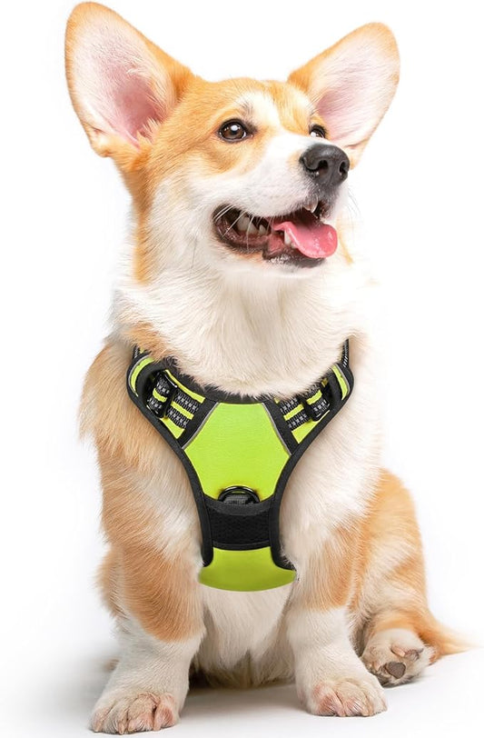 Eagloo Dog Harness Medium Sized Dog, No Pull Service Vest with Reflective Strips and Control Handle, Adjustable and Comfortable for Walking, No Choke Pet Harness with 2 Metal Rings, Green, M-PurrikoPets