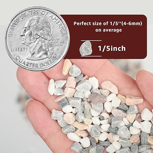 5lbs Natural Gravel Pebbles for Succulents and Cacti, 1/5 Inch Decorative River Stones – Perfect for Vases, Aquariums, Terrariums, and Outdoor Gardening, Mixed Colors (Mixed, 5 Pounds)-PurrikoPets