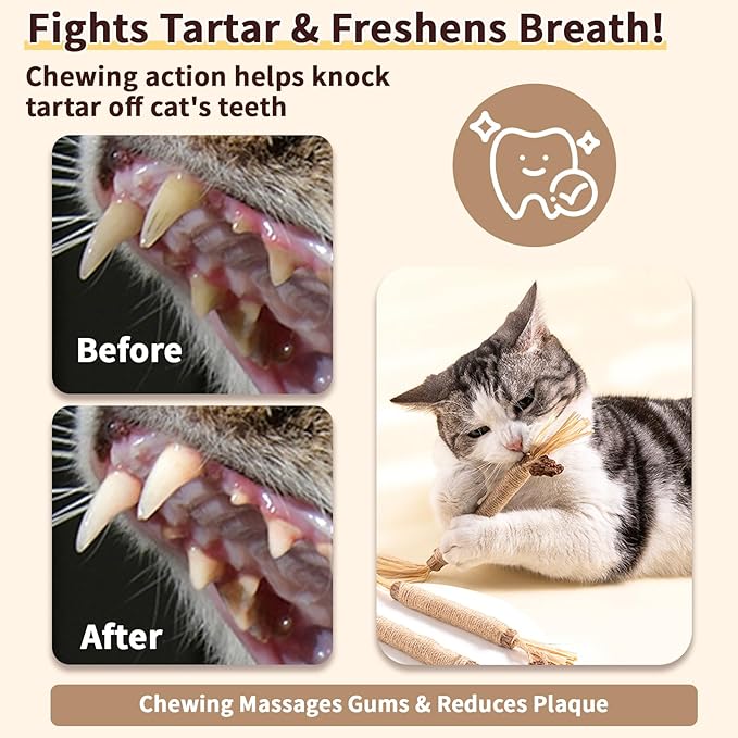 6 Pack Silvervine Cat Chew Toys, Natural Dental Sticks for Indoor Cats, Kittens Teeth Cleaning, Catnip Alternative, Interactive Play, Yellow-PurrikoPets