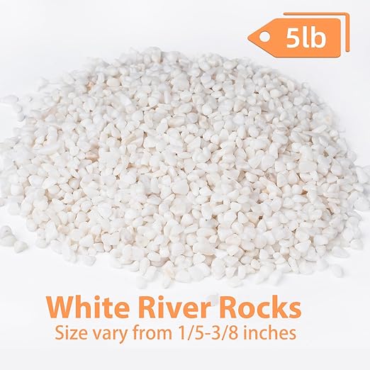 5 lbs White Aquarium Gravel, 1/5 Inch White Rocks for Plants, Small Pebbles for Vases, Succulents, Bamboo, Natural Decorative Pebbles for Plants Drainage, Cactus, Crafts-PurrikoPets
