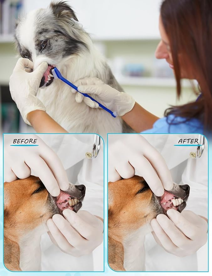 10 Pcs Dual-Headed Pet Toothbrush for Dogs & Cats-PurrikoPets