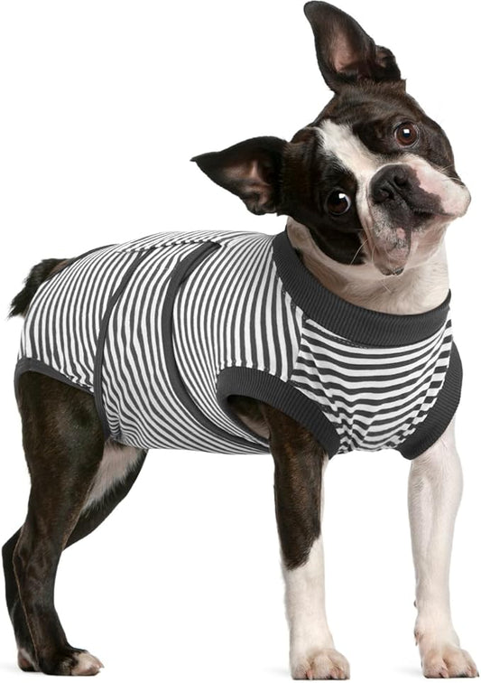 FUAMEY Dog Recovery Suit Male,Dogs Surgery Neuter Suits Puppy Spay Shirts for Female Protect Dog's Skin Anti Licking Abdominal Wounds Doggie Onesie Pet Bodysuit Alternative to Cone Gray Stripes M-PurrikoPets