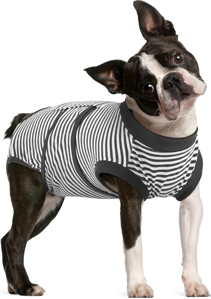 FUAMEY Dog Recovery Suit Male,Dogs Surgery Neuter Suits Puppy Spay Shirts for Female Protect Dog's Skin Anti Licking Abdominal Wounds Doggie Onesie Pet Bodysuit Alternative to Cone Gray Stripes L-PurrikoPets