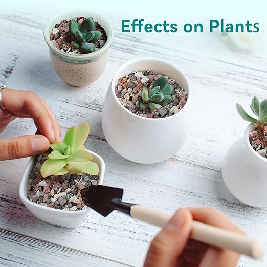 5lbs Terrarium Rocks for Pots Indoor, Succulent, Cactus, Bamboo, Bonsai Tree, 1/5 Inch Rocks for Planters Drainage, Mixed Color Small Lava Rocks for Top-Dressing-PurrikoPets