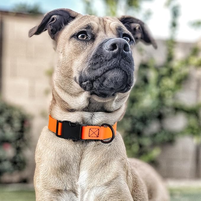 Dogline Biothane Waterproof Dog Collar with Quick Release Buckle Strong Coated Nylon Webbing with Odor- Proof for Easy Care Easy to Clean Fits Small Medium Large Dogs, Orange 5/8" W 9-14" L-PurrikoPets