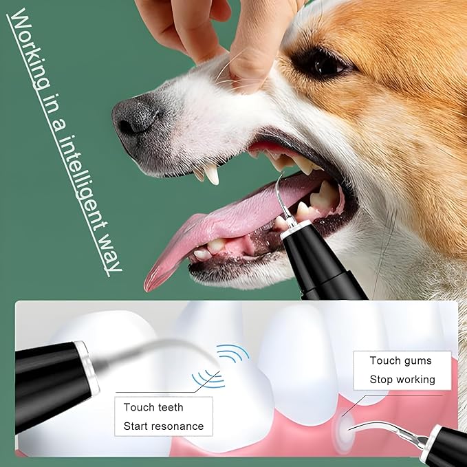 Dog Plaque Tartar Remover Pet Ultrasonic Cleaner Cat Tooth Cleaning for Cat Dog Dental Care-PurrikoPets