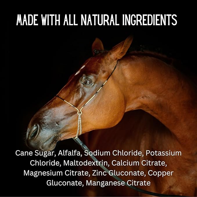 Gallagher's Water 120 Pack All-Natural Patented Equine Hydration Treat - Enhancement Powder Mix Horse Drink Treat to Help Encourage to Drink Water - Made with All Natural Ingredients, FEI Compliant-PurrikoPets