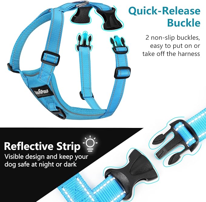 Dog Seat Belt Harness for Car, Dog Car Harness Adjustable Mesh Breathable & Dogs Seatbelt Safety Tether with Elastic Bungee for Small Medium Large Pets(Blue, XL)-PurrikoPets