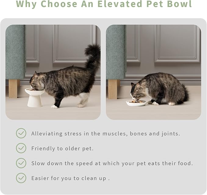 Extra Wide Elevated Ceramic Cat Bowl, 6.2" Shallow Dish for Whisker Fatigue Relief, 5" Height for Easy Feeding, Durable Raised Cat Food Bowls, Pack of 2, White-PurrikoPets
