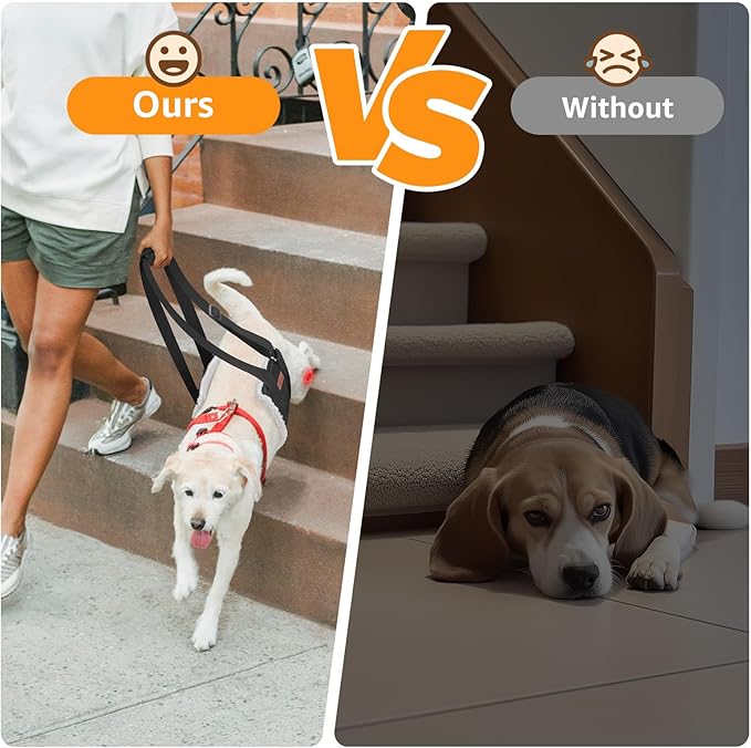 Adjustable Dog Lift Harness, Dog Sling for Large Dogs Lift Support and Rehab Harness for Weak Rear Legs, Soft Hind Leg Support Helps Senior, Injured, Disabled and After ACL Surgery Dogs(Black,Medium)-PurrikoPets