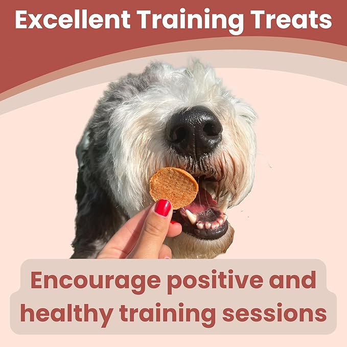 Farm To Pet Dog Training Treats, Healthy Turkey Dog Treats - 12 oz, Crunchy, Single Ingredient, All Natural Turkey Chips, Easy to Digest, Great for Dogs with Chicken Allergies, Made in USA-PurrikoPets