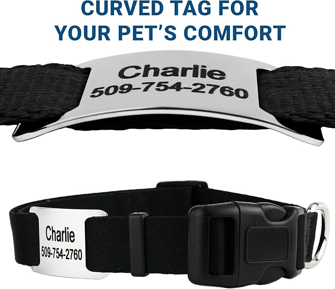 GoTags Personalized Dog Collar with Nameplate, Adjustable Dog Collar with Custom Engraved Slide On Pet ID Tag in Stainless Steel, Silent, No Noise Dog Tag for Large Medium and Small (Black, X-Small)-PurrikoPets