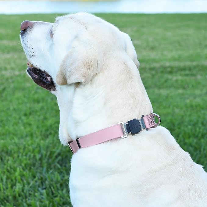 Dogline Biothane Waterproof Dog Collar with Herm Sprenger Stainless Steel Quick Release Buckle – Heavy Duty Tactical Durable Collar for Dogs – Comfortable and Safe Pet Collar, W 1" L 15-25", Pastel-PurrikoPets