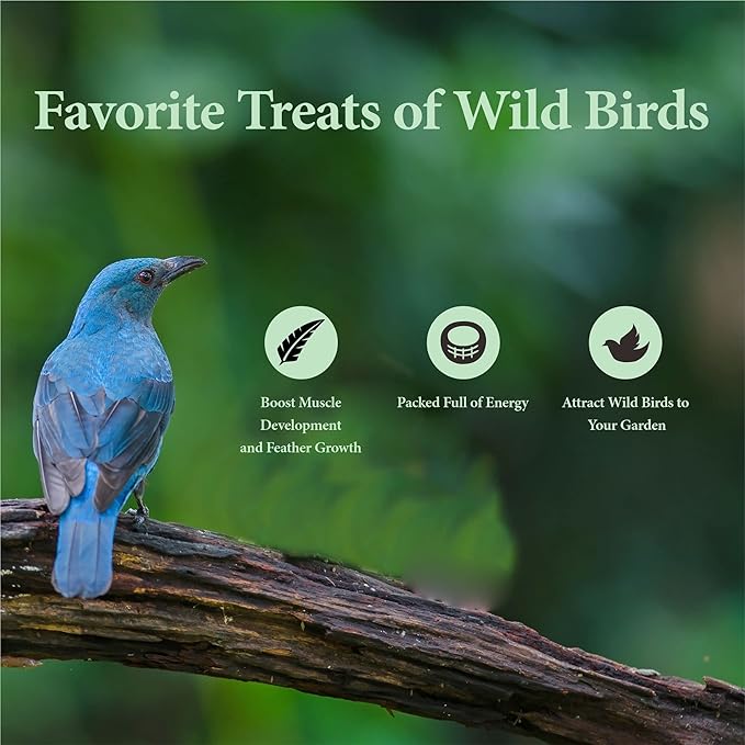 2LB Dried Mealworms for Poultry, Wild Birds,Tasty Bird Food-PurrikoPets