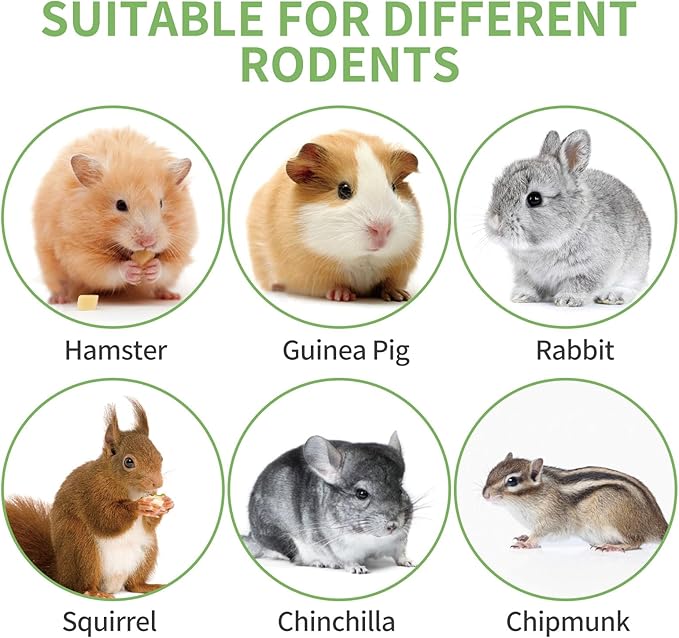 50-60 PCS Natural Rabbit Chew Toys, Treats, Timothy Sticks, Apple Sticks, Sweet Bamboo for Guinea Pig, Hamster, Chinchilla, Rat, Small Animals-PurrikoPets