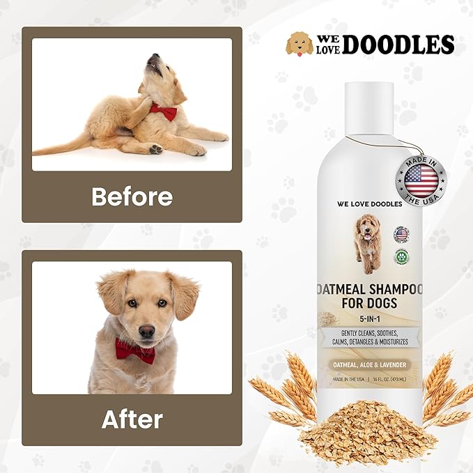 5-in-1 Premium Oatmeal Shampoo for Dogs, Gentle for Itchy & Sensitive Skin, Provides Itch Relief, Hypoallergenic & Soothing for Dry Skin, Moisturizing Anti-Itch, Made in USA, 16 oz [We Love Doodles]-PurrikoPets
