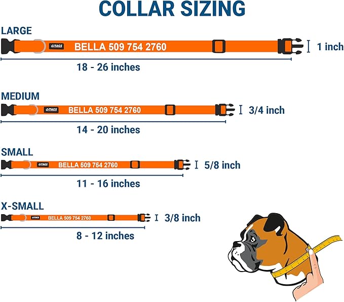 GoTags Personalized Dog Collar with Nameplate, Adjustable Dog Collar with Custom Engraved Slide On Pet ID Tag in Stainless Steel, Silent, No Noise Dog Tag for Large Medium and Small (Orange, Large)-PurrikoPets